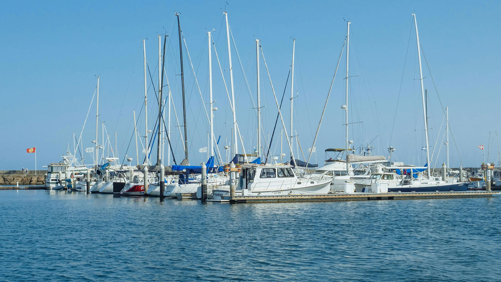 yachts in the harbor